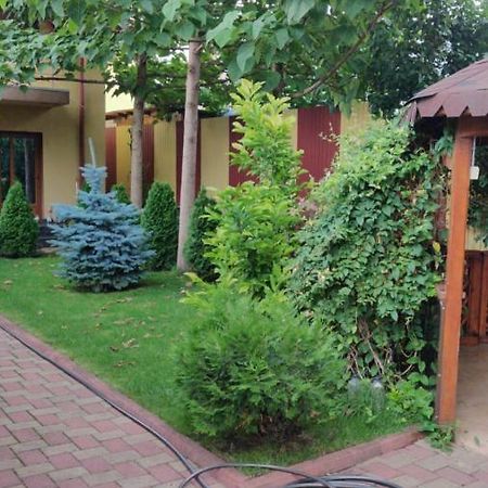 Cazare Buzau Apartment Ngoại thất bức ảnh