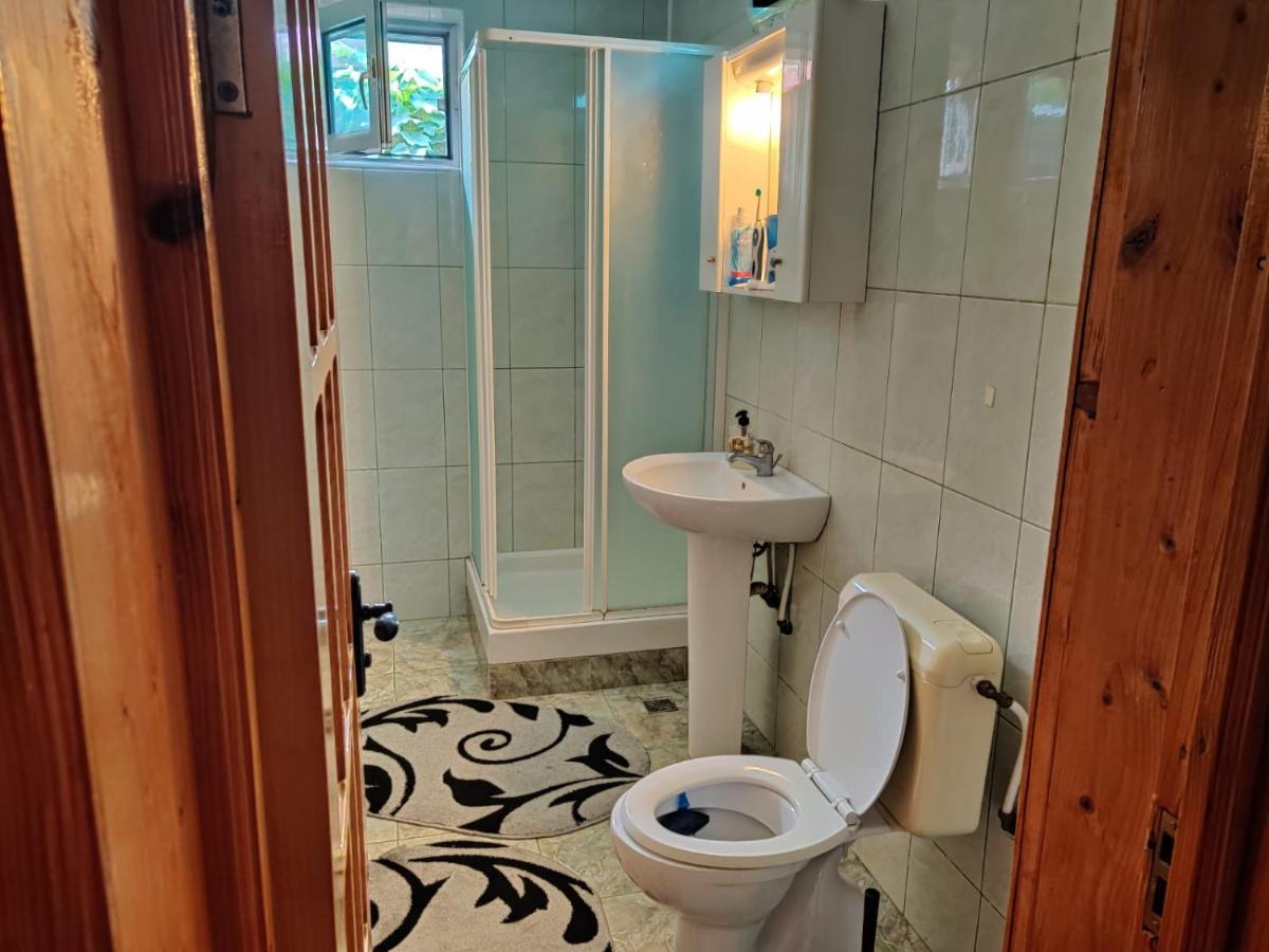 Cazare Buzau Apartment Ngoại thất bức ảnh